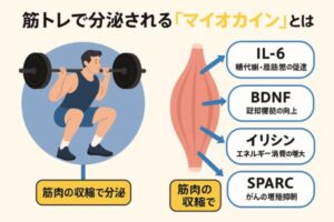 マイオカイン
